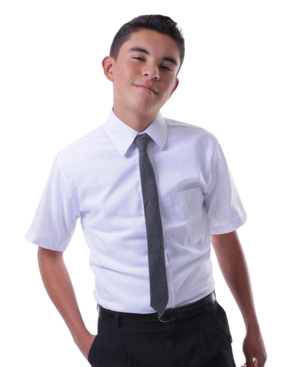Camisa manga corta cuello corbata